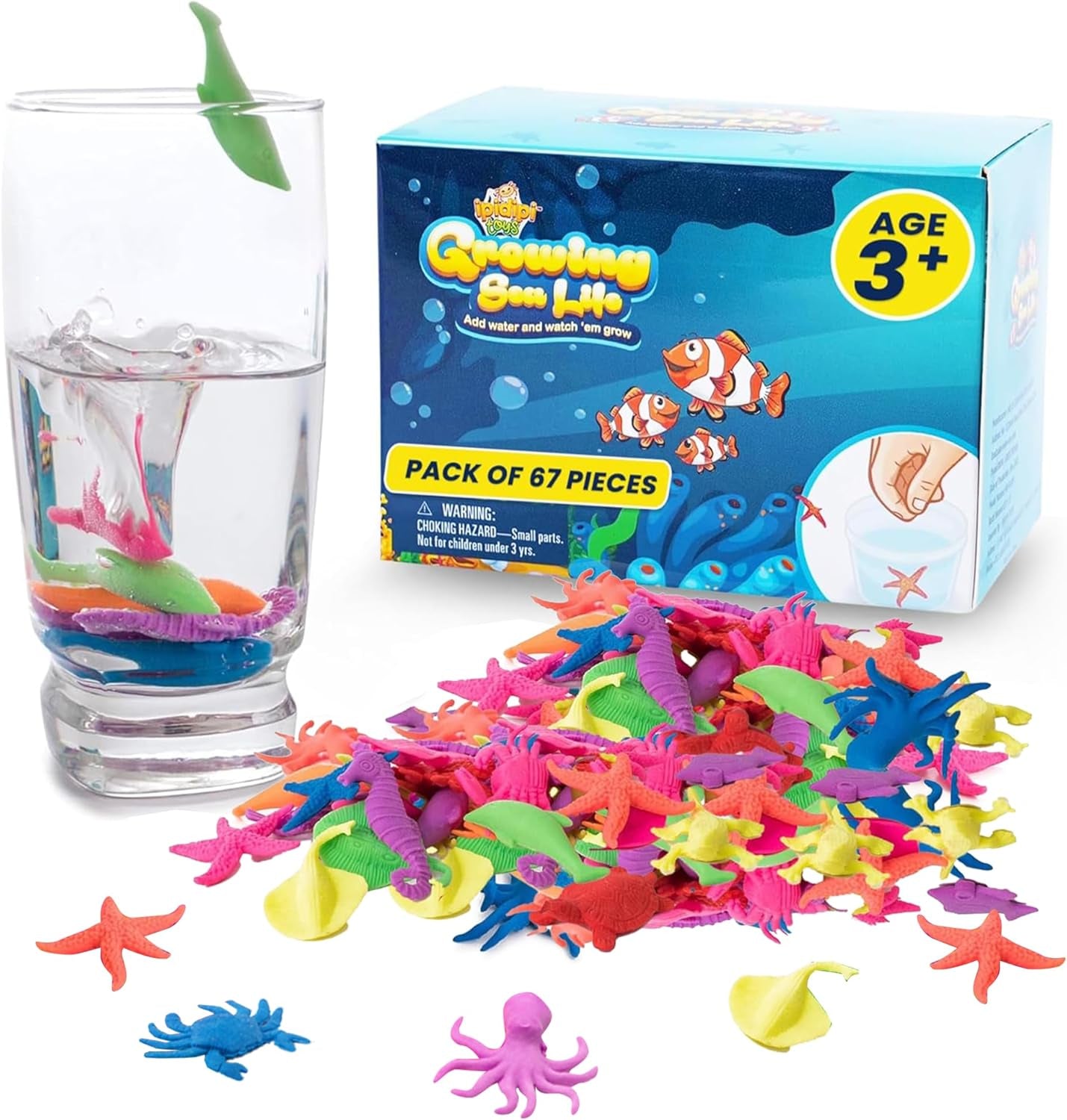 Water Growing Sea Creatures Toys