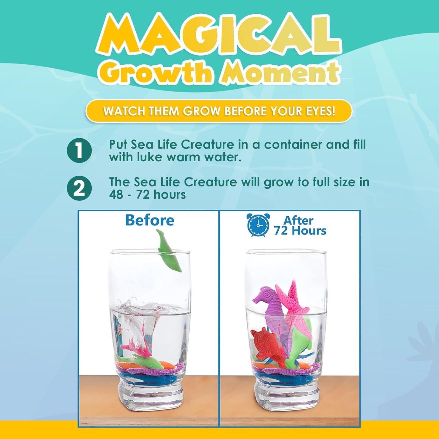 Water Growing Sea Creature Toys