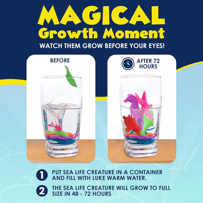 Water Growing Sea Creatures Toys